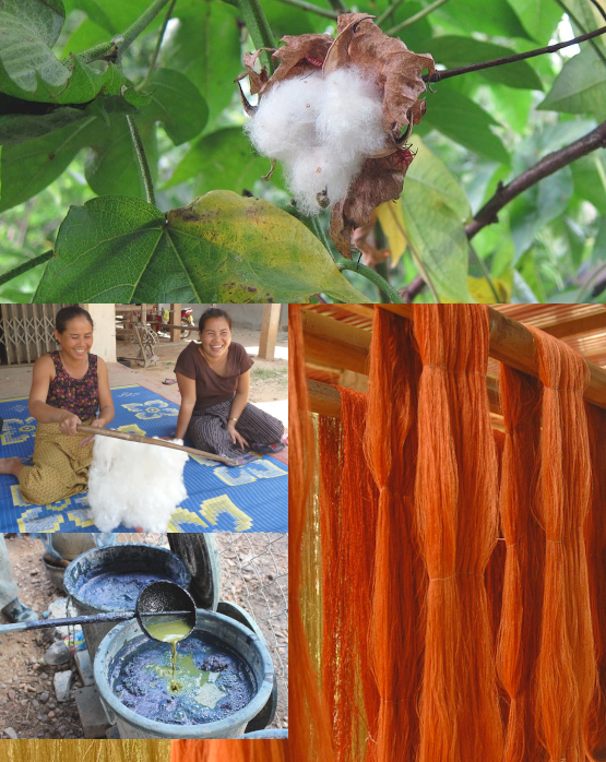 Taibaan - natural cotton